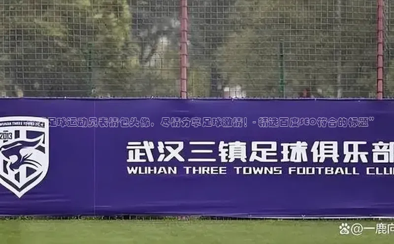 贝博app体育下载安装度小满理财“高清足球运动员表情包头像，尽情分享足球激情！- 精选百度SEO符合的标题”