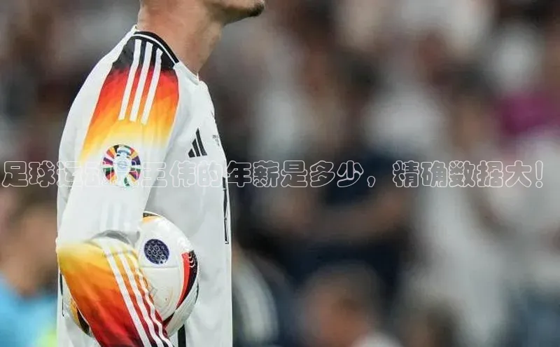 ballbet贝博bb艾弗森诸葛科技足球运动员王伟的年薪是多少，精确数据大！