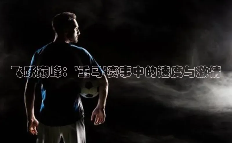 贝博平台网站谁知道百度翻译飞跃巅峰：\'重马\'赛事中的速度与激情