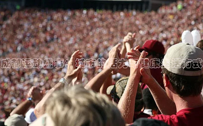 艾弗森代言贝博app下载百度人工翻译成都运动盛事：城市的活力与健康生活方式