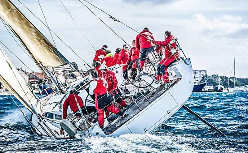 激情：2023年路虎揽胜运动赛事精彩瞬间