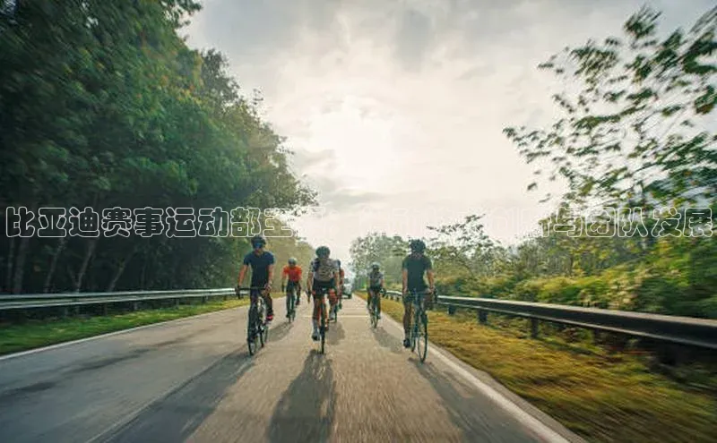 比亚迪赛事运动部王磊：推动技术创新与团队发展