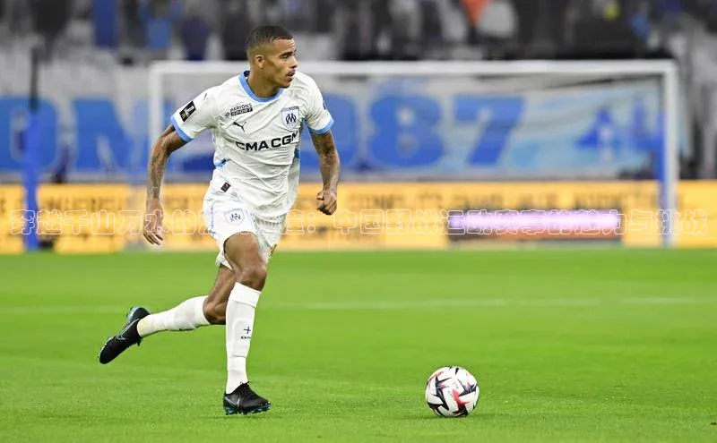 穿越千山万水的激情碰撞：中国野战运动赛事的魅力与挑战