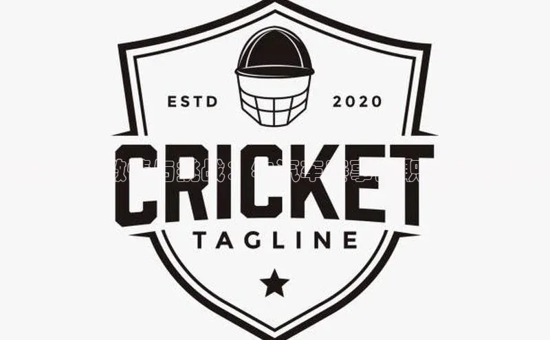 赛道上的激情与挑战：牛汽车赛事的职业运动篇章