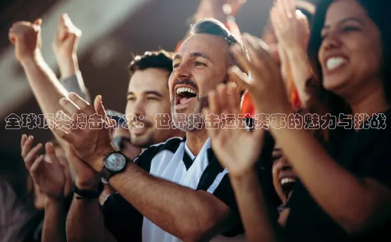 全球顶尖搏击对决：世界搏击运动赛事的魅力与挑战