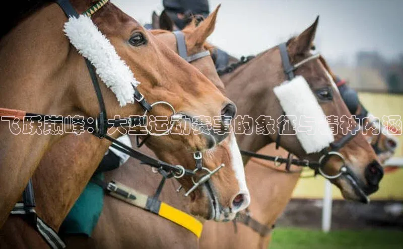飞跃巅峰：大型运动赛事的象征与精神内涵
