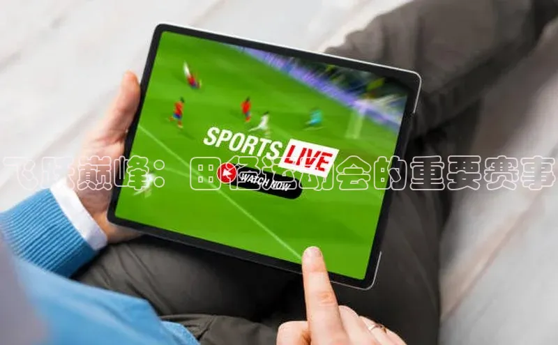 飞跃巅峰：田径运动会的重要赛事