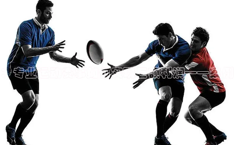 ：专业运动赛事如何实现巨额利润——案例