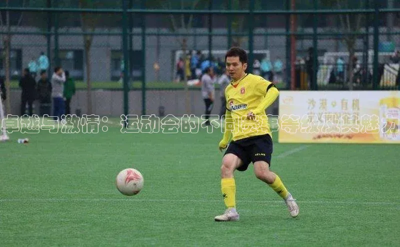 卓越与激情：运动会的不同赛事等级及其魅力