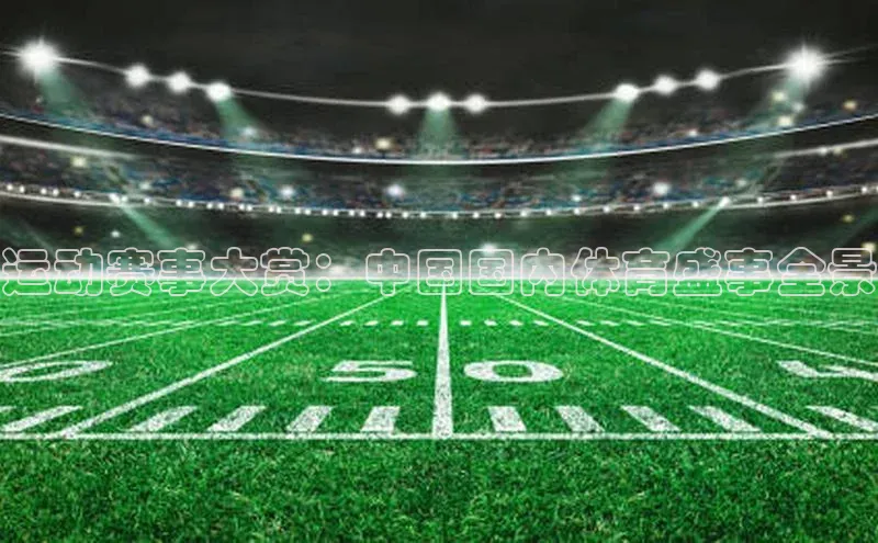 运动赛事大赏：中国国内体育盛事全景