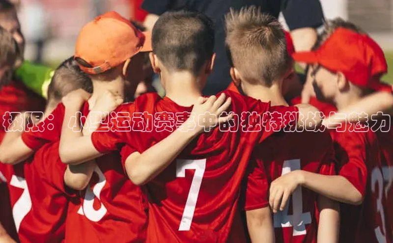 极限：小型运动赛事中的独特挑战与魅力