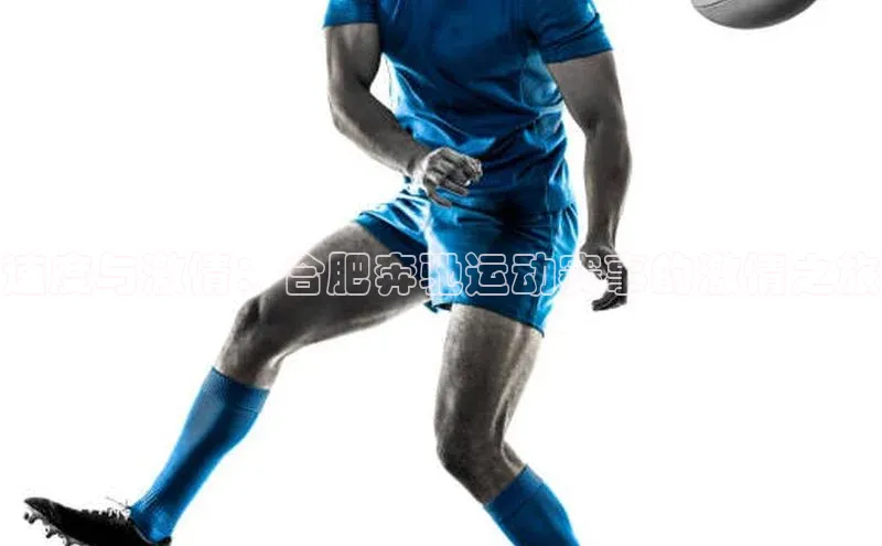 贝博官网下载app