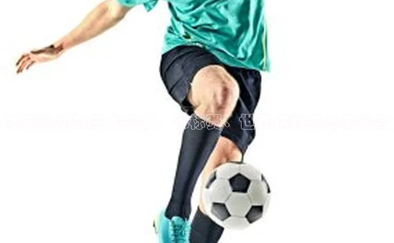 冰壶运动的三大赛事：锦标赛、世界锦标赛与冬奥会