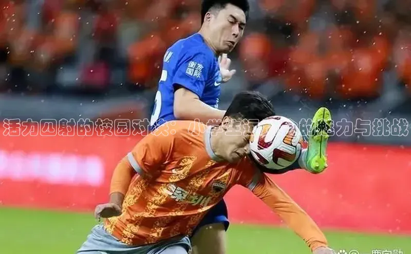 活力四射的校园对决：小学生运动会的魅力与挑战